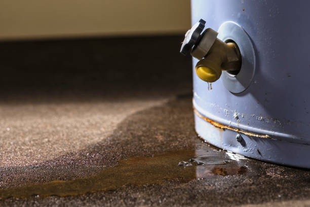 Best Water damage contractors near me  in Lake Ssota, WI