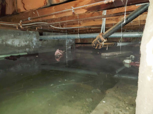 Best Commercial water damage restoration  in Lake Ssota, WI