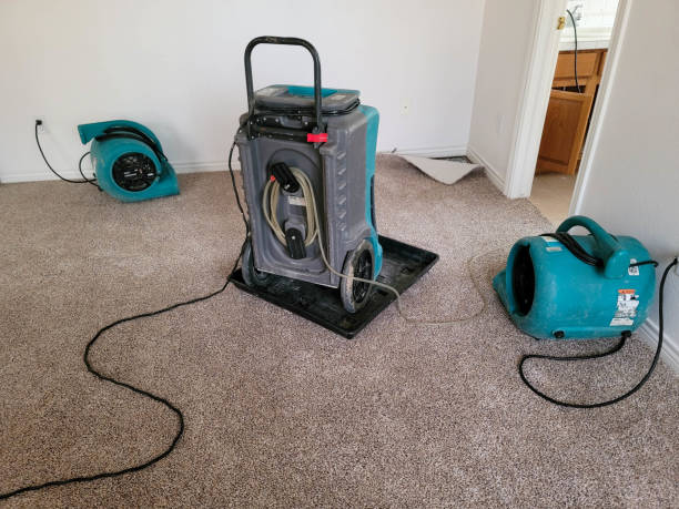Best Fire Damage Restoration  in Lake Ssota, WI