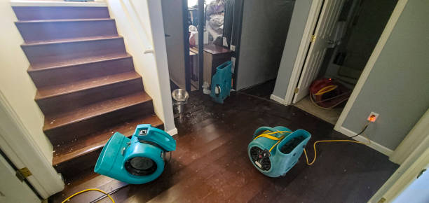 Best Water damage restoration process  in Lake Ssota, WI
