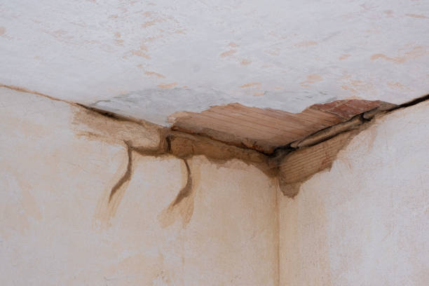Best Water damage cleanup near me  in Lake Ssota, WI