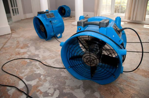 Best Basement water damage restoration  in Lake Ssota, WI