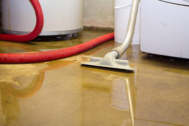 Best Carpet water damage restoration  in Lake Ssota, WI