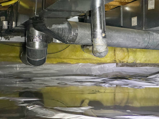 Best Mold removal after water damage  in Lake Ssota, WI