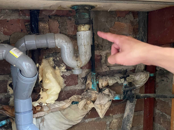 Best Flooded house restoration  in Lake Ssota, WI