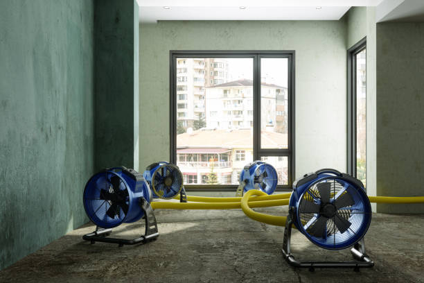 Best Sewage cleanup and water damage restoration  in Lake Ssota, WI
