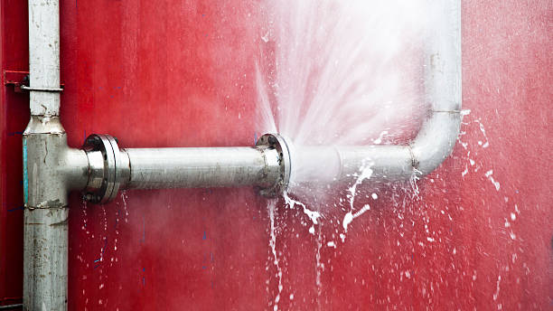 Best Water damage cleanup near me  in Lake Ssota, WI